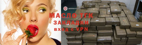 дмт Лабытнанги