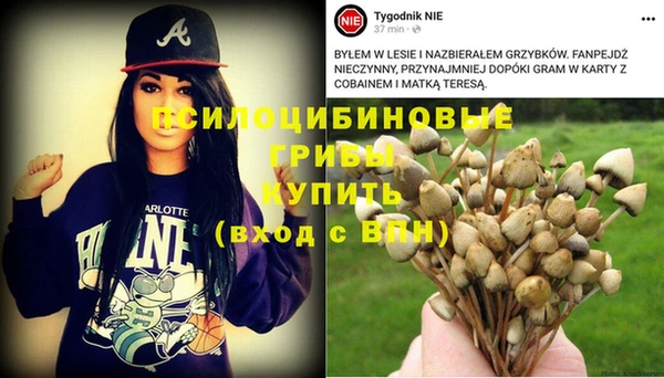 герыч Фёдоровский