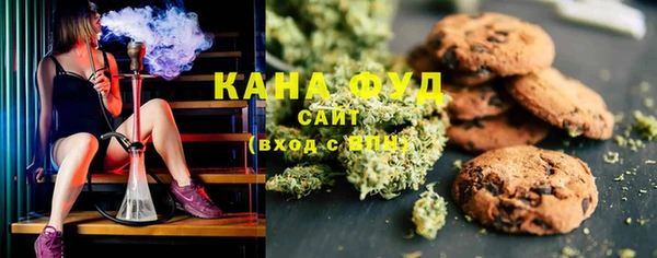 индика Лагань